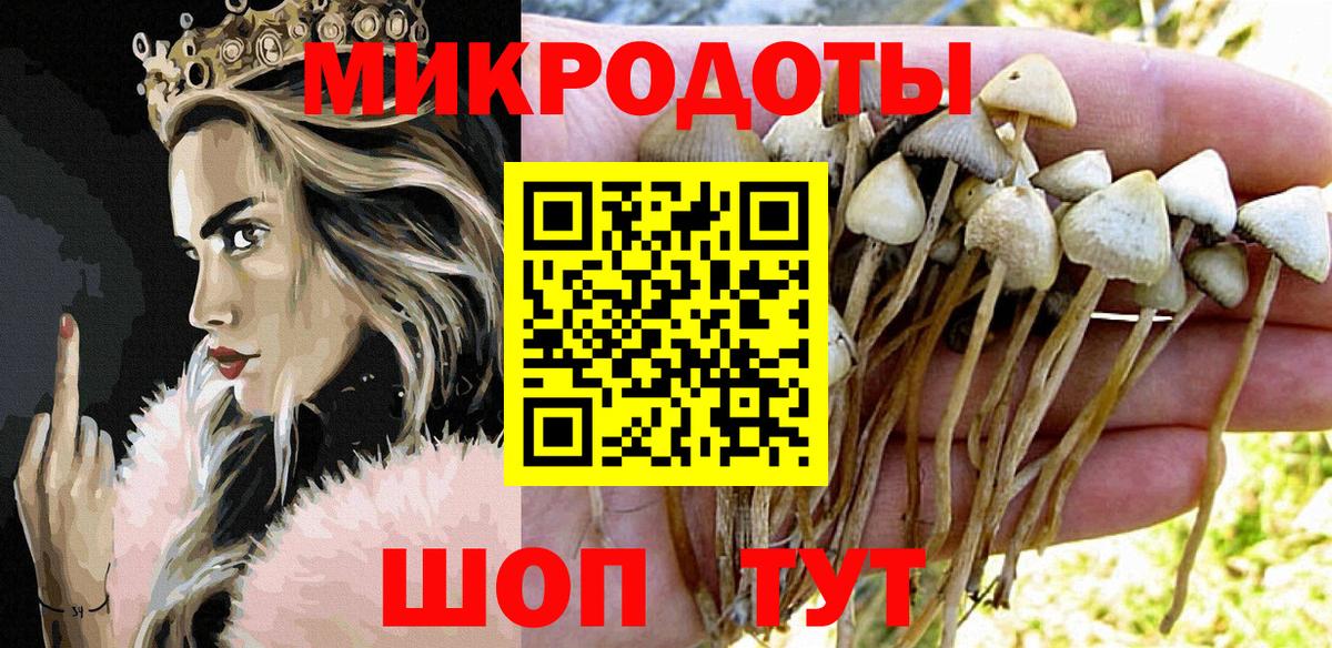 Псилоцибиновые грибы GOLDEN TEACHER Усть-Илимск